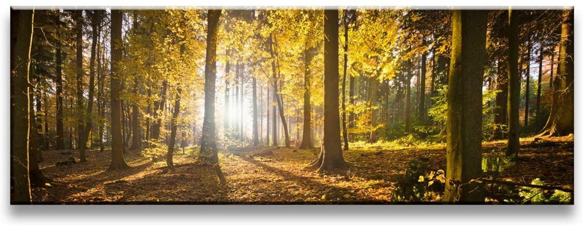 Visario Leinwandbild 1-teiliges Bild auf Leinwand günstig online kaufen