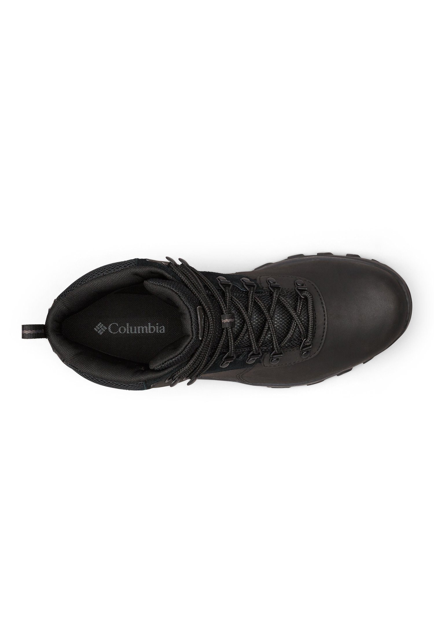 Columbia NEWTON RIDGE PLUS WATERPROOF Sneaker II