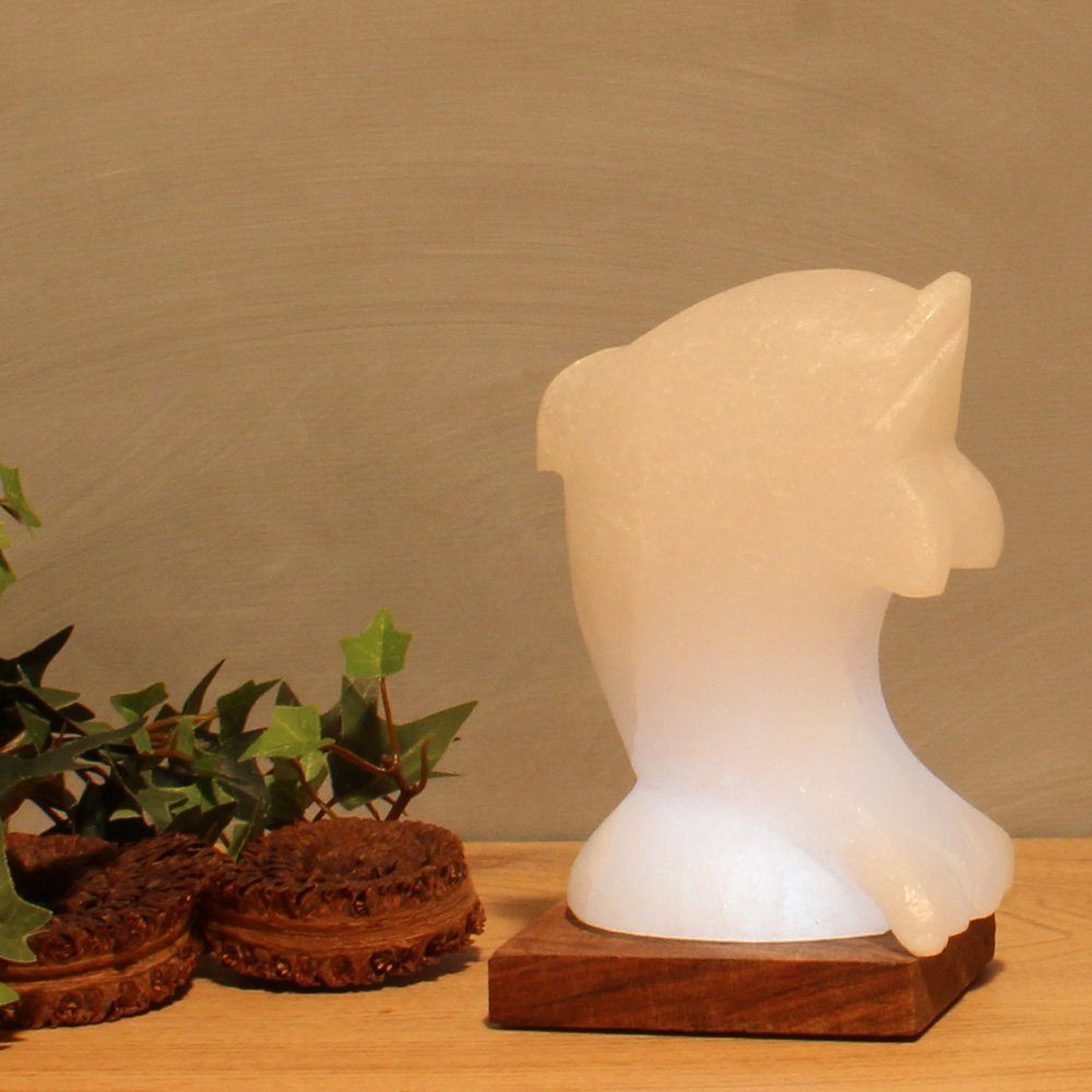 Wagner Life Design Salzkristall-Tischlampe Delfin, LED wechselbar, Warmweiß, Handgefertigt aus Salzkristall - jeder Stein ein Unikat, H: ca.15 cm