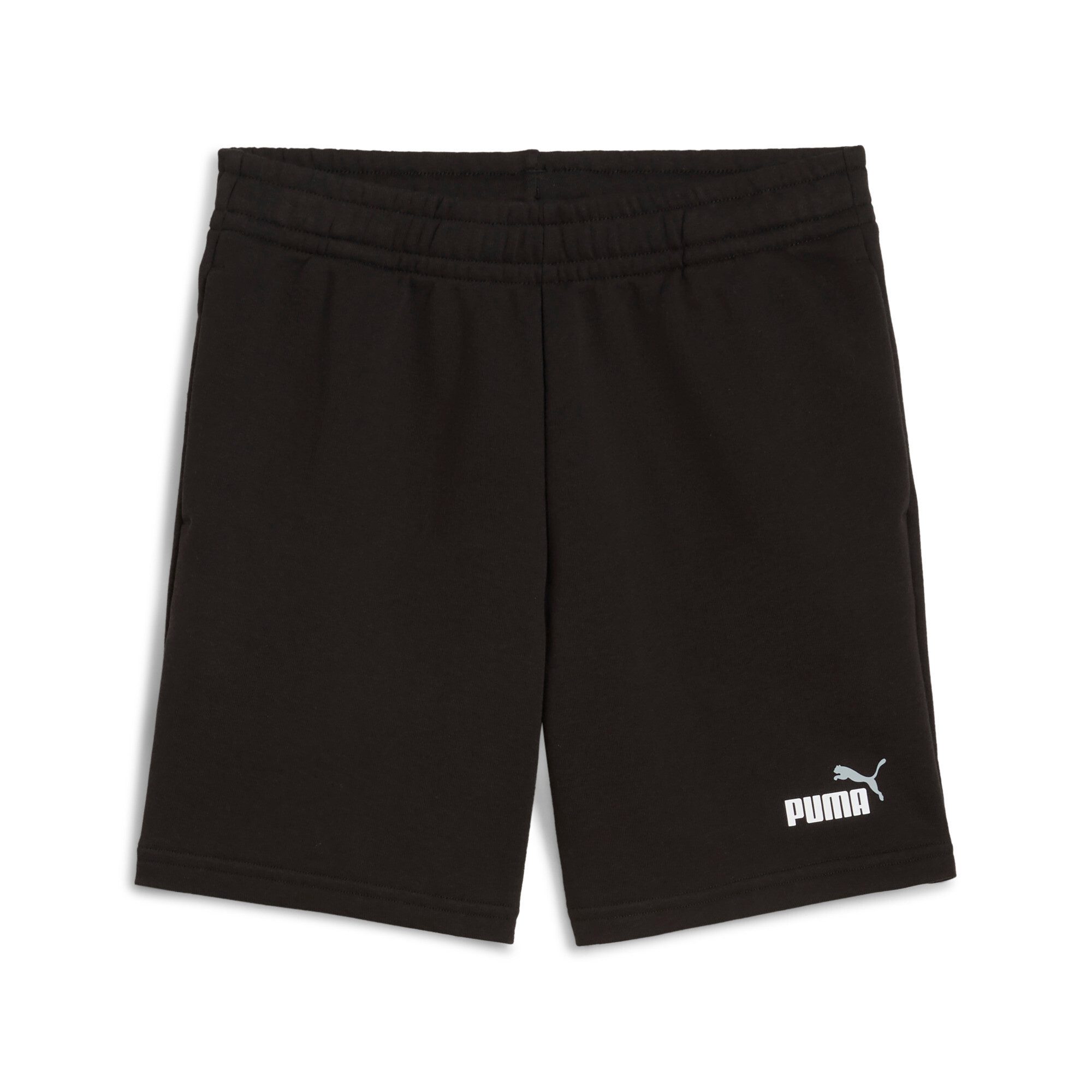 PUMA Trainingsshorts ESS 2 COLOR NO. 1 LOGO SHORTS TR B