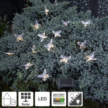 STAR TRADING LED Dekolicht Papillon, Star Trading Solar Lichterkette Papillon