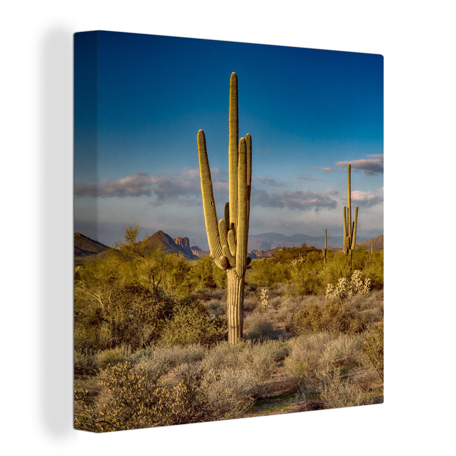 OneMillionCanvasses® Leinwandbild Kaktus bei Sonnenuntergang in Arizona, (1 St), Leinwand Bilder für Wohnzimmer Schlafzimmer | Leinwandbilder