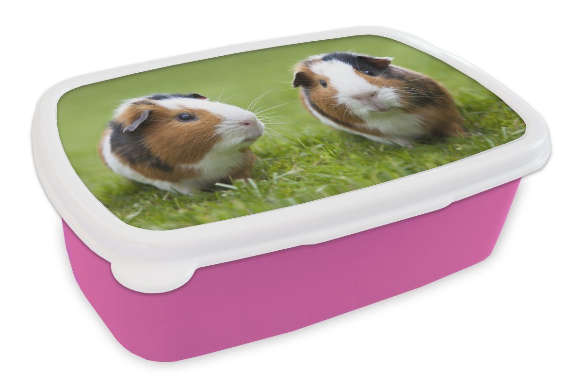 Erwachsene, Brotbox MuchoWow Snackbox, (2-tlg), Mädchen, für Kunststoff Lunchbox Kinder, Meerschweinchen, Brotdose rosa Kunststoff, Zwei