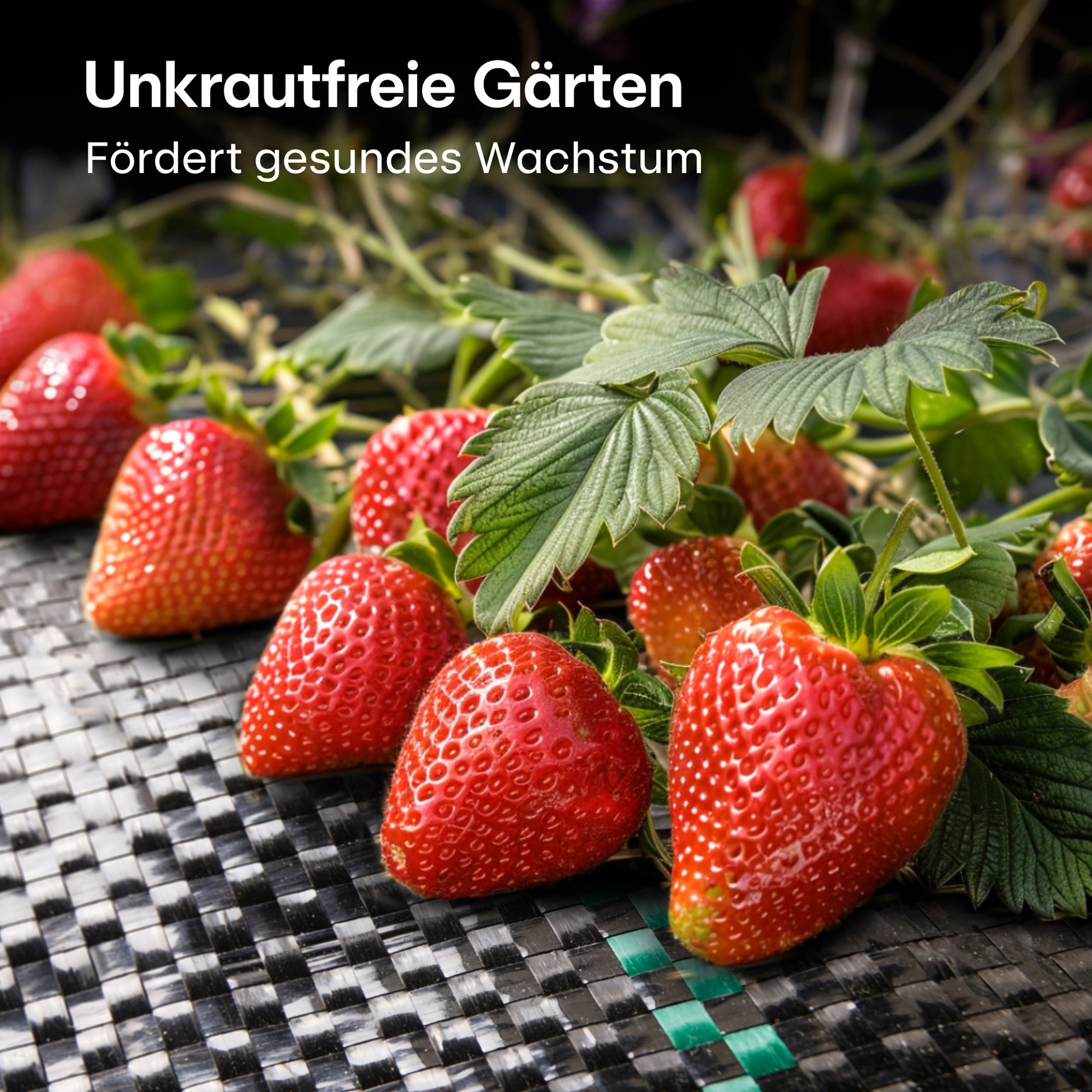 Praknu Gartenvlies Bändchengewebe 100g/m² 50m² - 24 Erdanker UV-Stabil Wasserdurchlässig, (Set, 100g/m² Unkrautvlies 50m² mit 24 Erdankern wasserdurchlässig), r – Bild 5 von 5