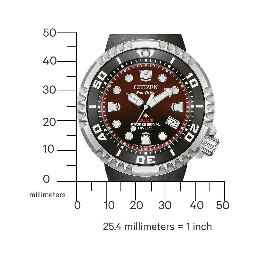 Citizen Taucheruhr Promaster Professional Diver 300 BN1024-01Z, Armbanduhr, günstig online kaufen