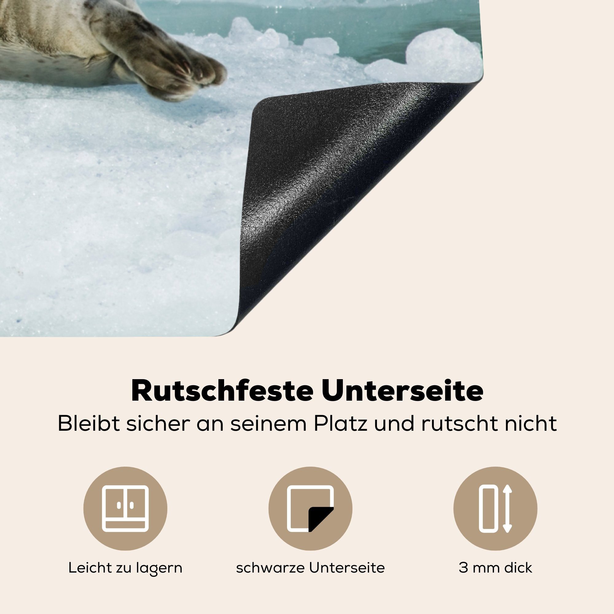 die Herdblende-/Abdeckplatte Robbe Eis, Induktionskochfeld Ceranfeldabdeckung - 81x52 (1 Meer küche, Vinyl, tlg), cm, MuchoWow - für Schutz