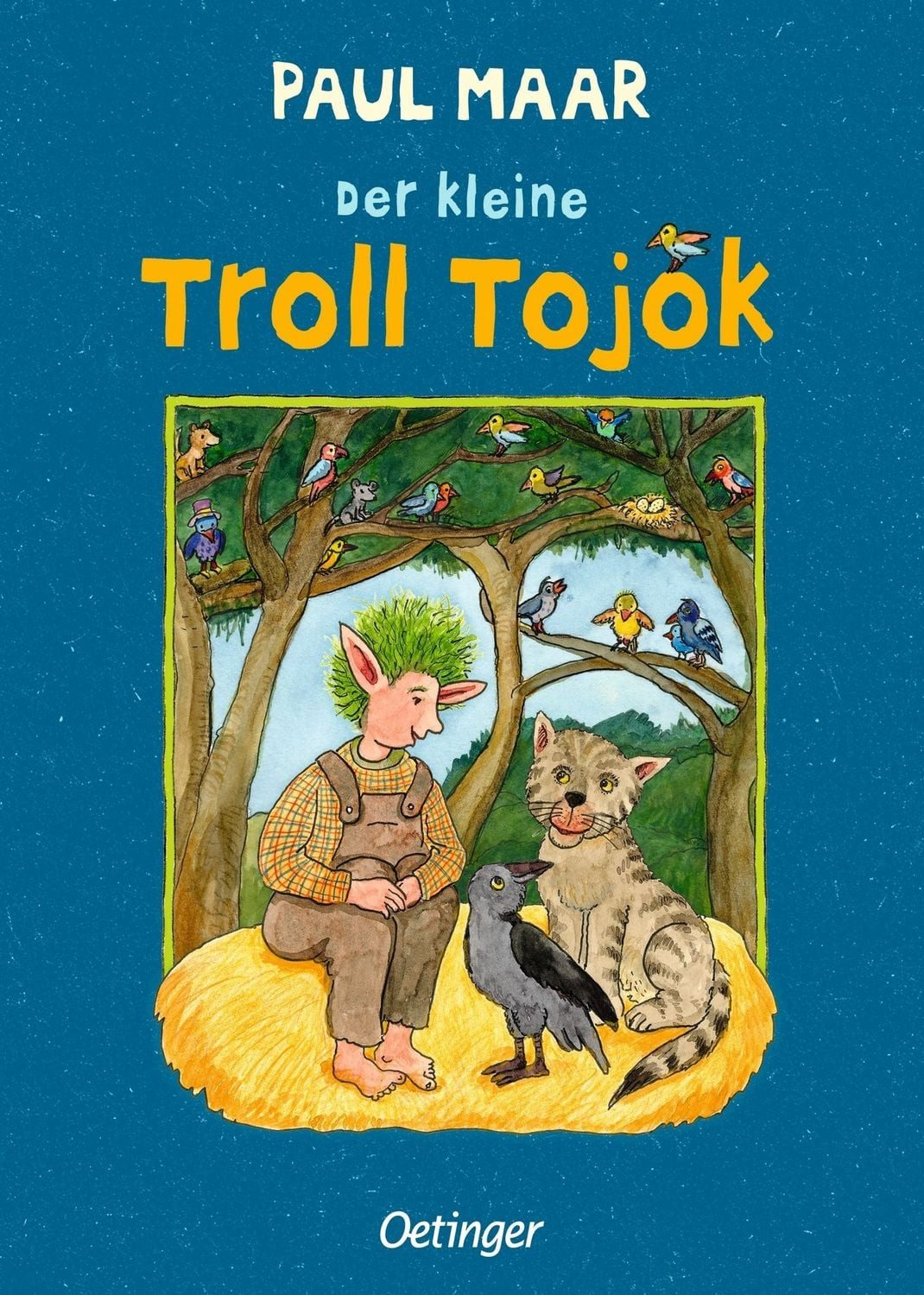 Kinderbuch Der kleine Troll Tojok Paul Maar