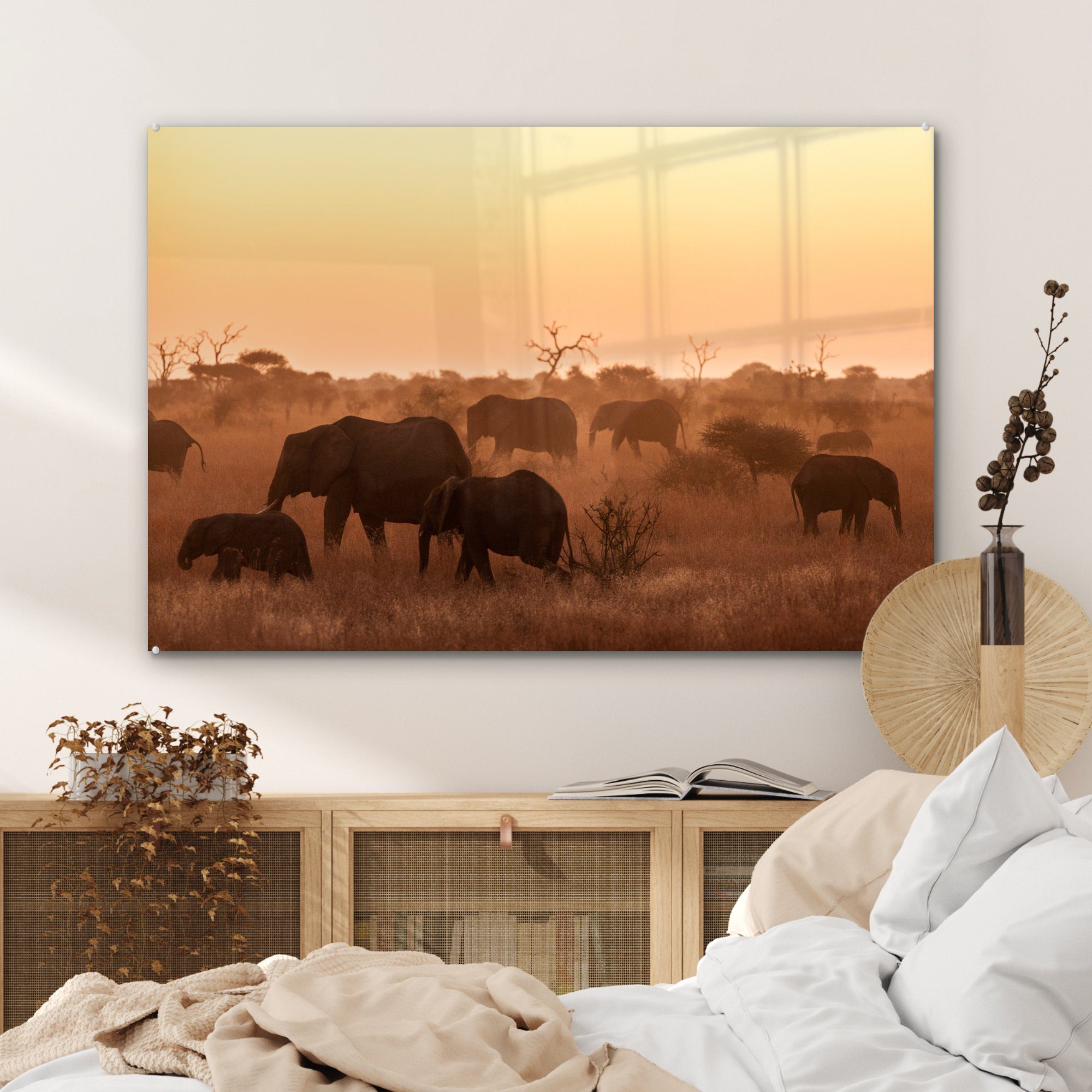 & MuchoWow St), Südafrika, Elefanten Wilde Kruger-Nationalpark im Acrylglasbild Schlafzimmer in afrikanische Acrylglasbilder (1 Wohnzimmer