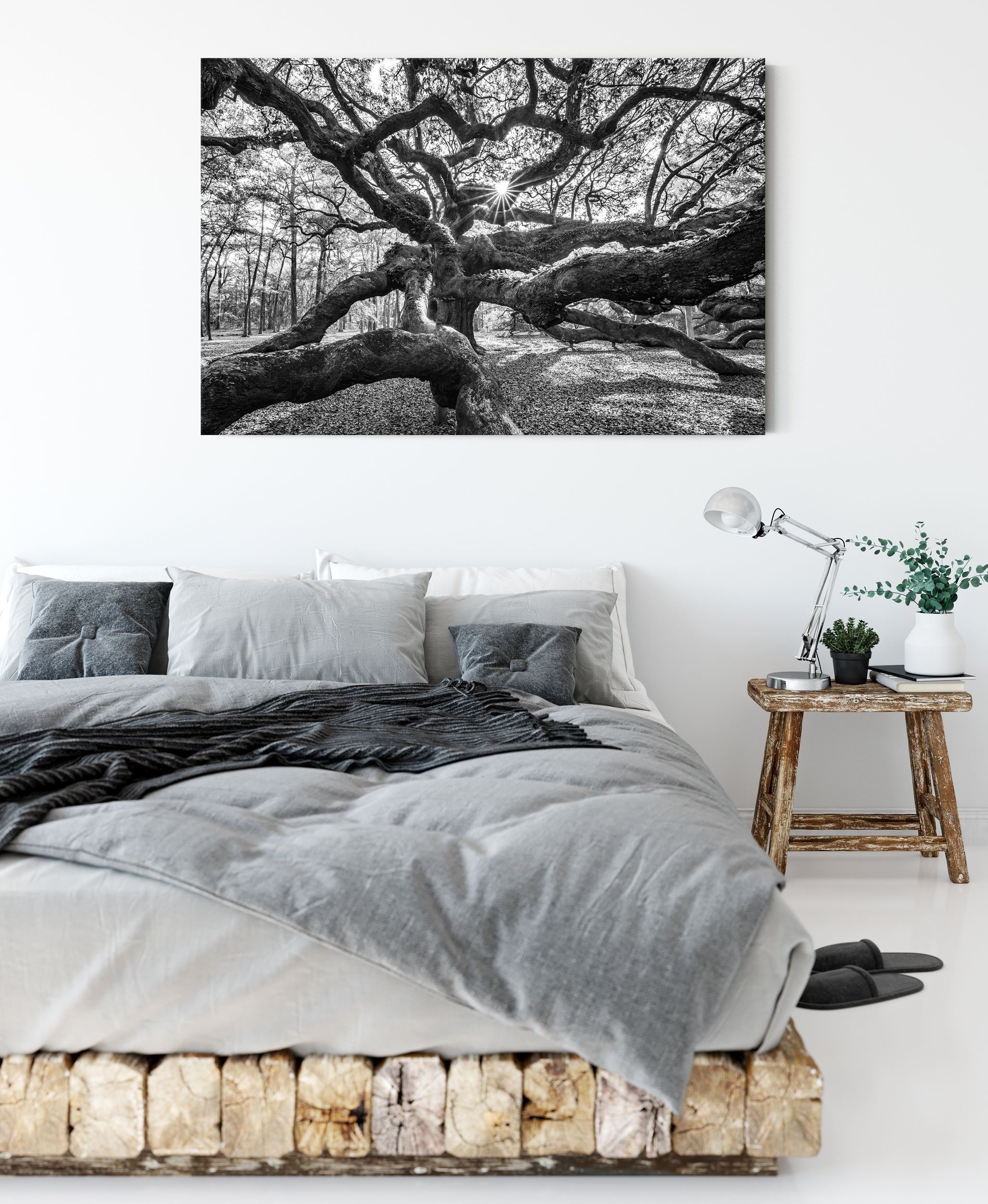 Pixxprint Leinwandbild Baum, Baum (1 St), Leinwandbild fertig bespannt, inkl. Zackenaufhänger