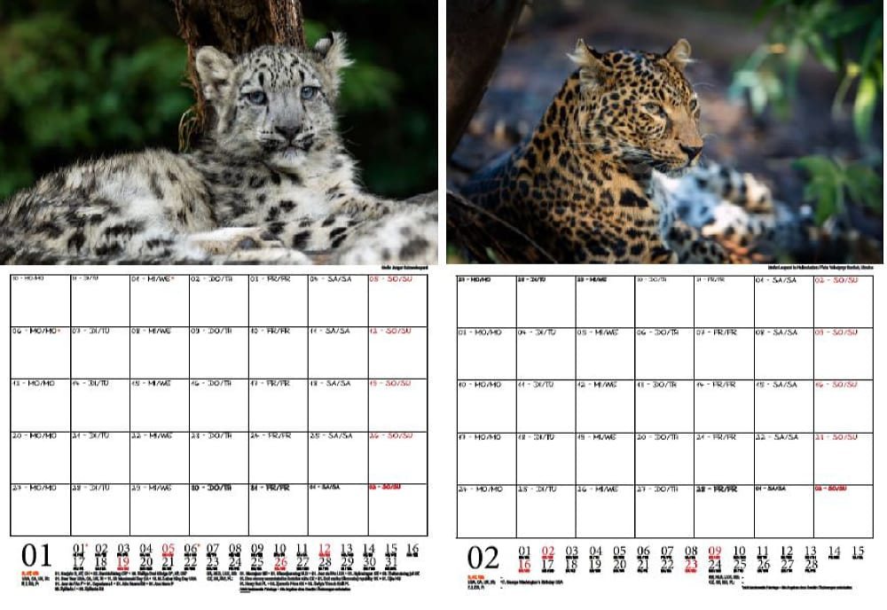 Thumbnail - Seelenzauber Wandkalender Leopardenzauber Wand- Planer Kalender für 2025 DIN A4 Raubkatze