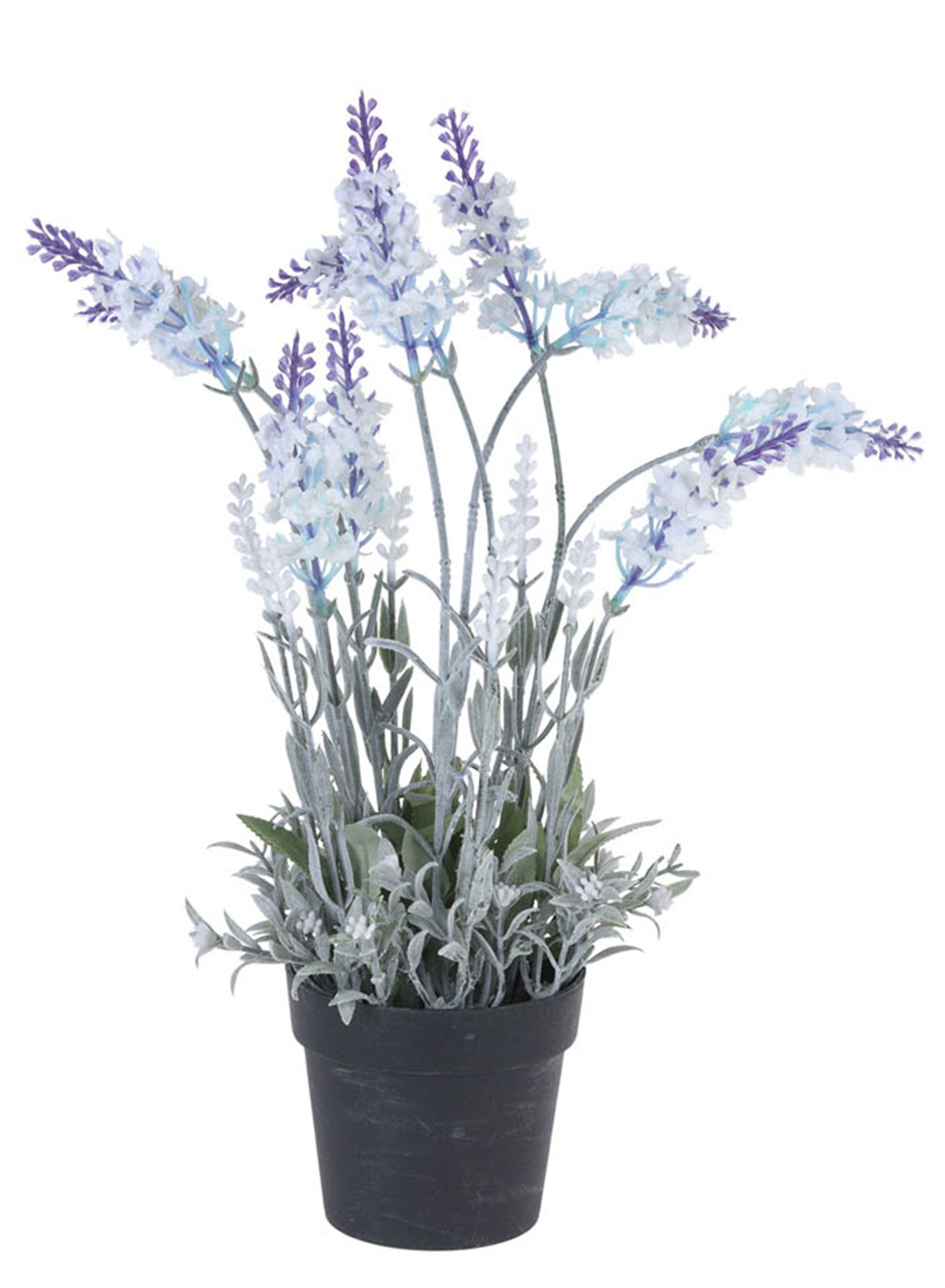 HTILiving Deko Lavendel im Topf, Vielseitig einsetzbar für jede Art
