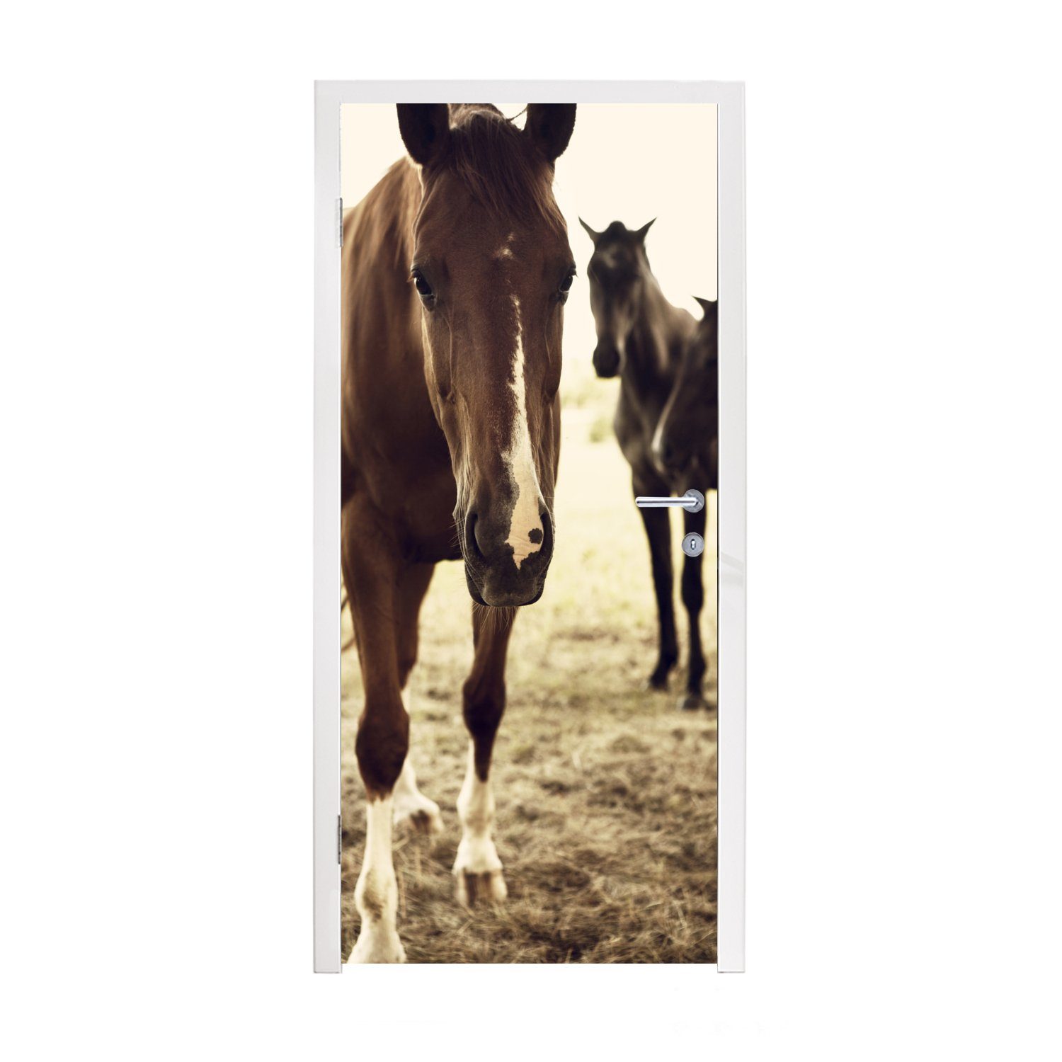 MuchoWow Türtapete Pferde Sepia-Fotodruck, Matt, bedruckt, (1 St), Fototapete für Tür, Türaufkleber, 75x205 cm
