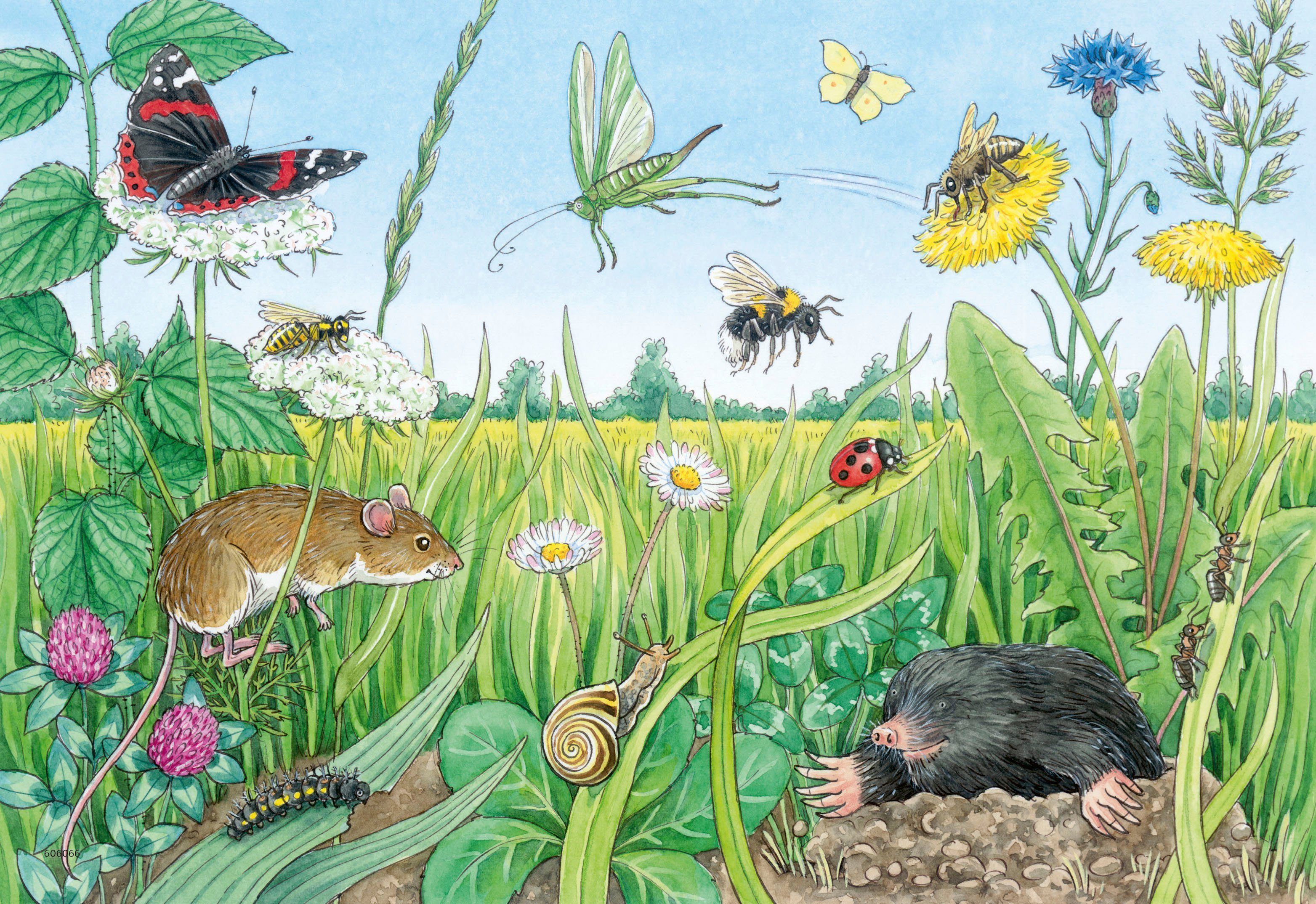 Ravensburger Puzzle Wieso? Weshalb? Warum? Junior, Tiere im Wald und auf der Wiese, 24 Puzzleteile, 2x12 Teile; Made in Europe
