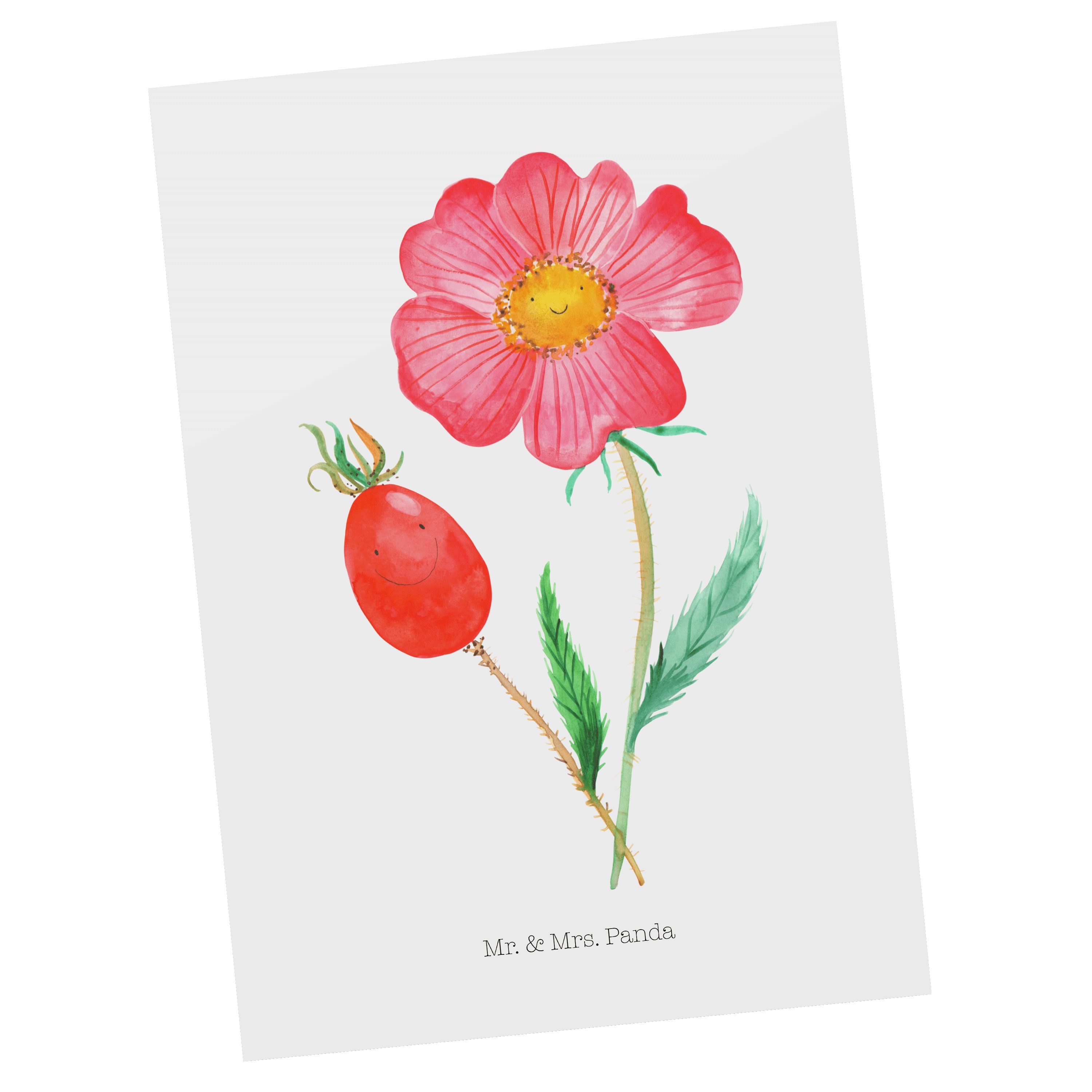 Panda Karte, Frühlings Mrs. Lebensfreu Weiß Geschenk, Hagebutte Blume, Mr. - Postkarte Deko, - &