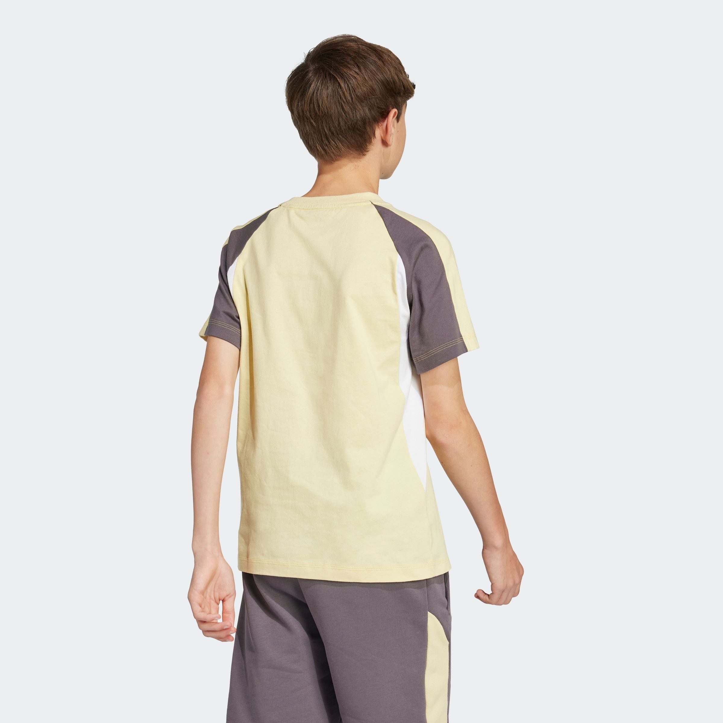 adidas Sportswear T-Shirt SEASONAL ESSENTIALS COLORBLOCK KIDS
