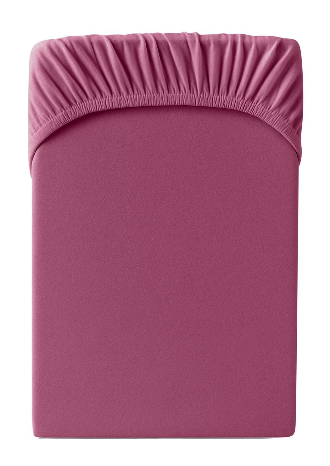 Carpe Sonno Spannbettlaken Jersey 100% Baumwolle viele Größen OEKO-TEX 100 Gummizug Spannbetttuch, Jersey, Gummizug: rundum, (1 Stück), Spannbettlaken 90 x 200 - 100 x 200 bis 22cm Höhe, Brombeere