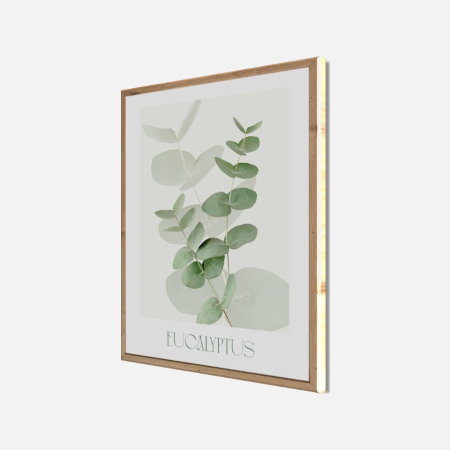 Bönninghoff Bild mit Rahmen Wandbild gerahmt EUCALYPTUS 40x50 cm – Botanik Wanddeko Boho Scandi, Blätter, Eukalyptus, Pflanzen (1 St), mit dekorativem Rahmen
