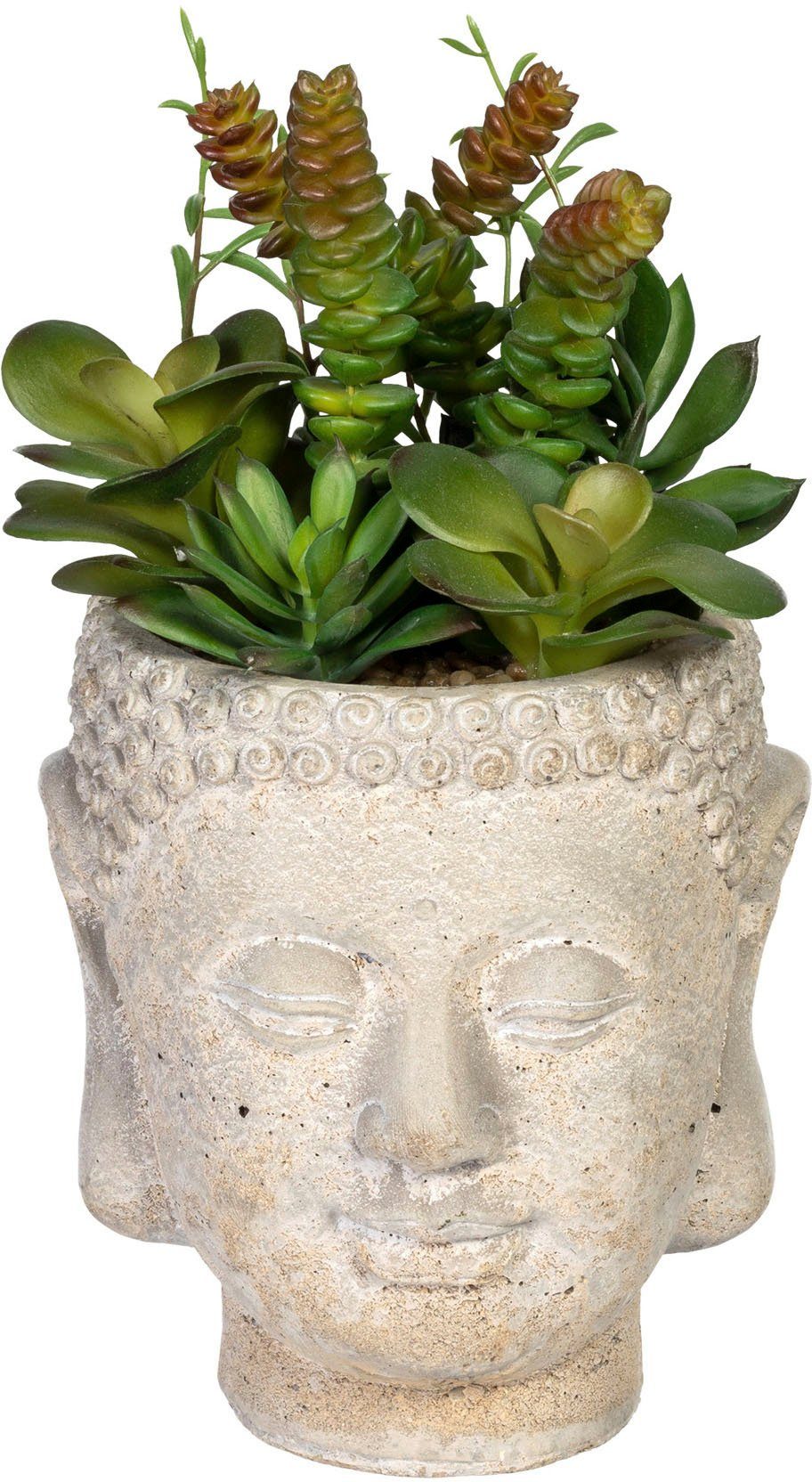 Künstliche Zimmerpflanze »Sukkulentenarrangement« Sukkulente, Creativ green, Höhe 25 cm, im Gefäß aus Zement-Otto