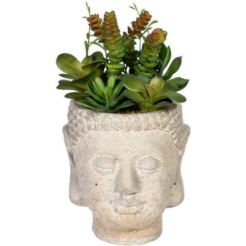 Künstliche Zimmerpflanze Sukkulentenarrangement Sukkulente, Creativ green, Höhe 25 cm, im Gefäß aus Zement