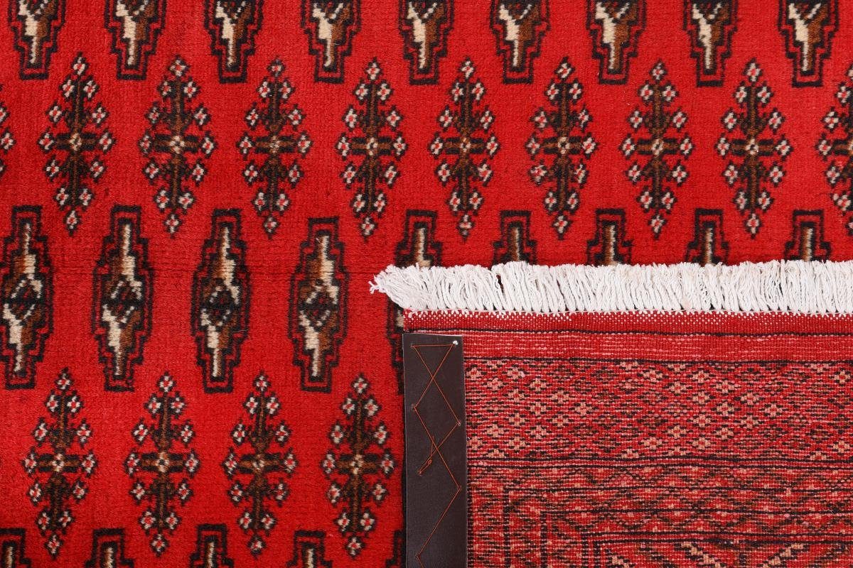 / Orientteppich Turkaman Trading, rechteckig, 248x339 Höhe: Orientteppich mm Handgeknüpfter 6 Nain Perserteppich,