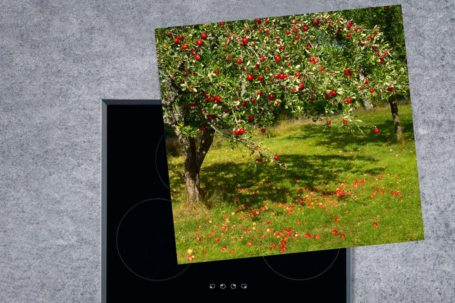 MuchoWow Herdblende-/Abdeckplatte Obst 78x78 (1 Arbeitsplatte Ceranfeldabdeckung, - Vinyl, cm, tlg), küche - Apfel, für Baum