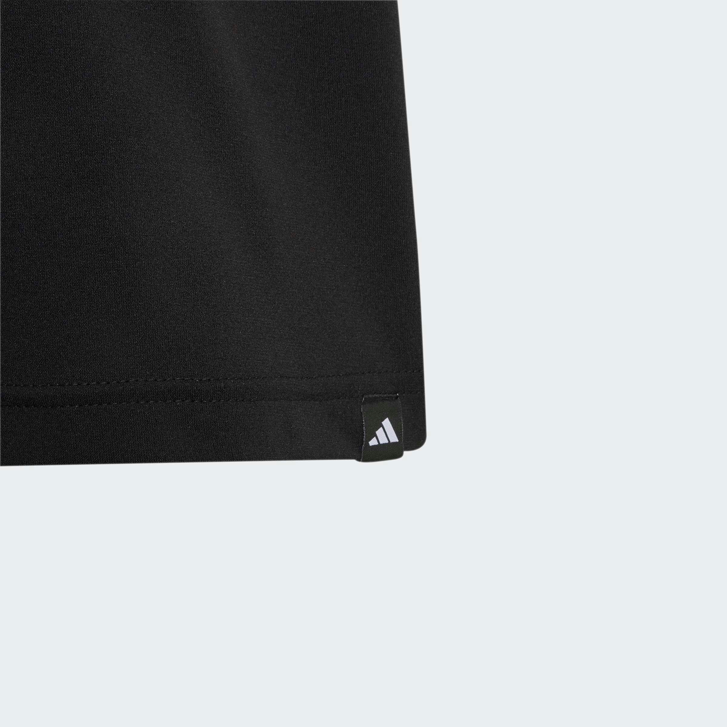 adidas TERREX Funktionsshirt KIDS XPLORIC GRAPHIC TECH mit climacool® Technologie, Kurzarm, ohne Verschluss, für Kinder – Bild 5 von 5