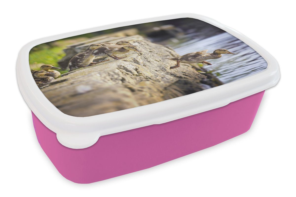 Küken, Lunchbox MuchoWow Erwachsene, (2-tlg), Brotbox - Snackbox, Brotdose Kunststoff, Enten Steine für Mädchen, Kunststoff rosa Kinder, -