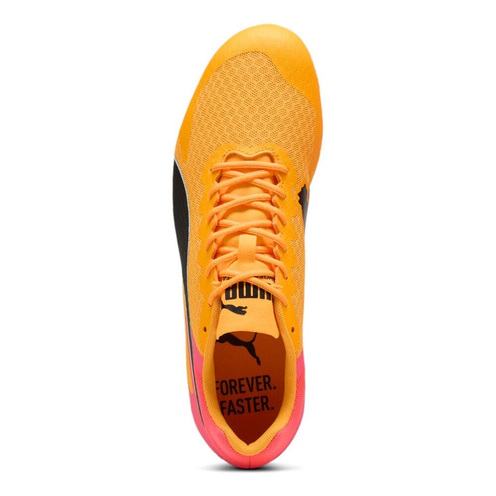 PUMA Evospeed Star 9 - Spikeschuh Laufschuh