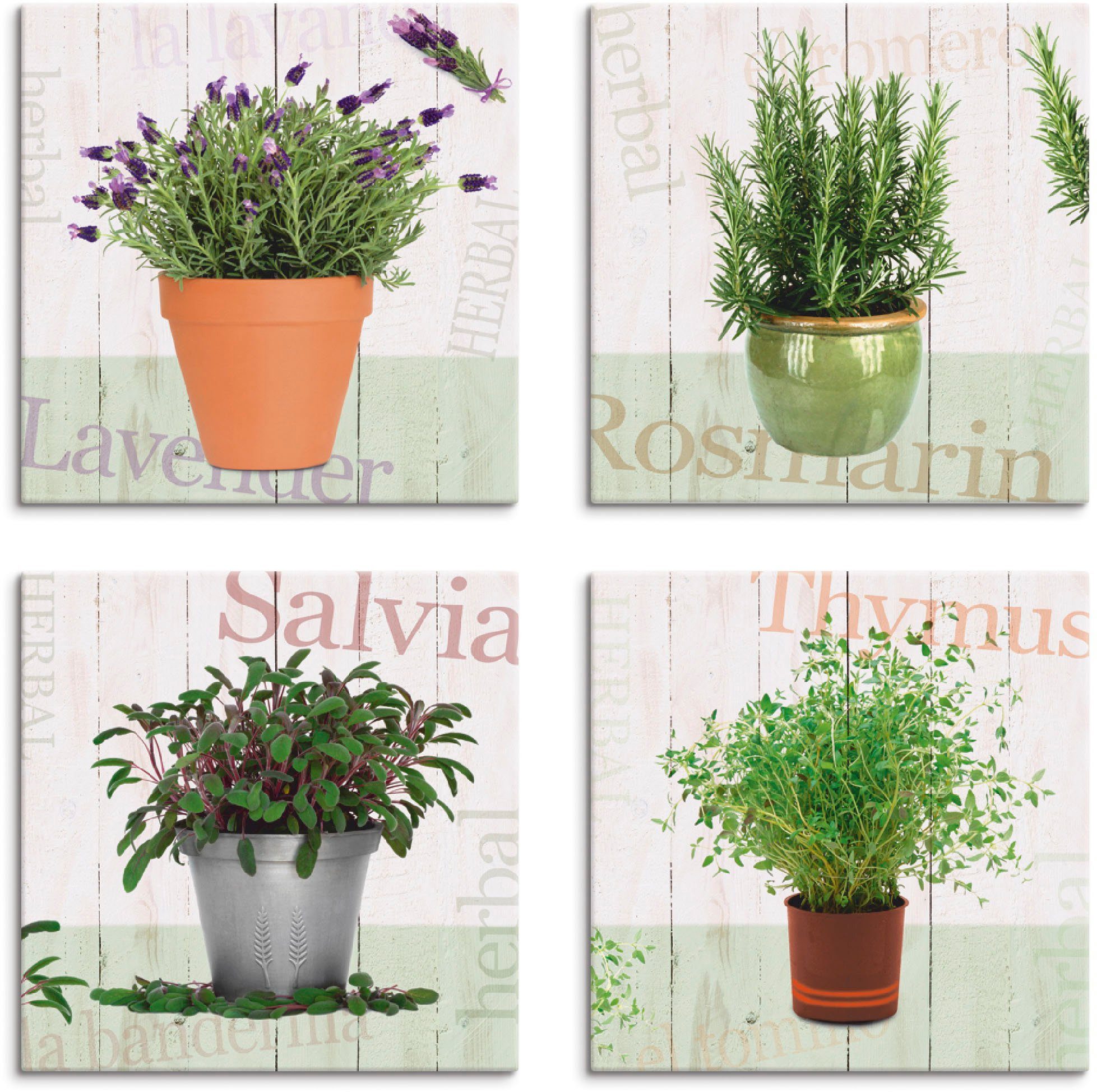 Artland Leinwandbild Lavendel, Rosmarin, Salbei, Thymian, Pflanzen (4 St), 4er Set, verschiedene Größen
