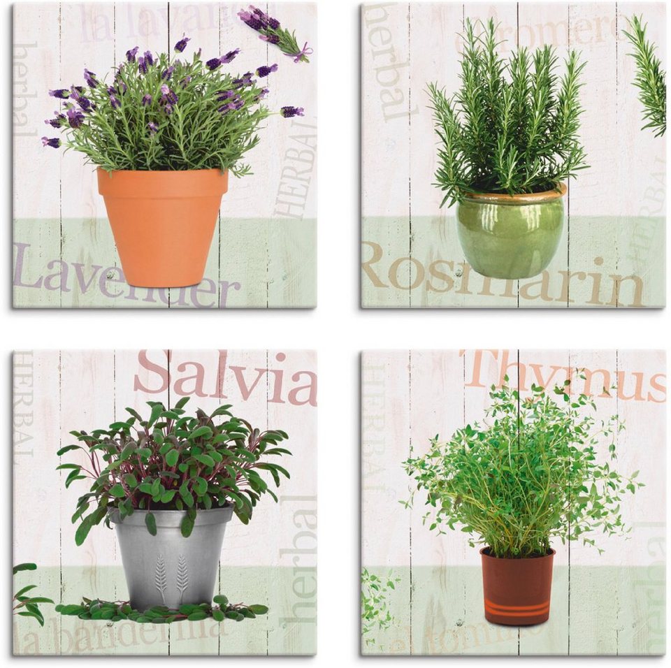 Artland Leinwandbild Lavendel, Rosmarin, Salbei, Thymian, Pflanzen (4 St), 4er  Set, verschiedene Größen