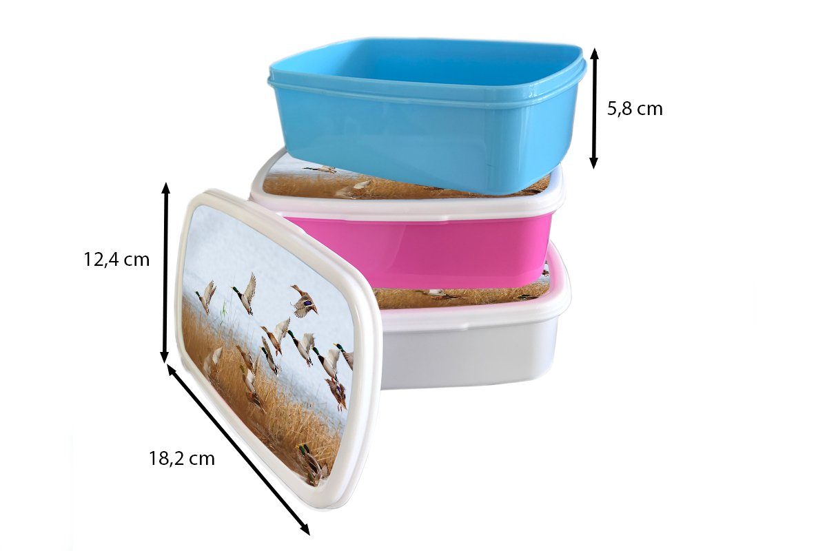 Erwachsene, - Ente Brotbox (2-tlg), Wasser Lunchbox Mädchen, Vogel Kinder, Schilf MuchoWow Brotdose - Snackbox, Kunststoff rosa Enten, Kunststoff, für - -