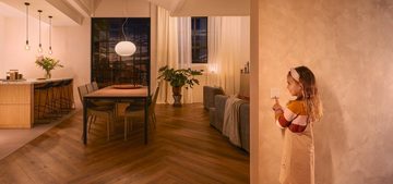 Philips Hue Steckdosenschalter Wandschalter Modul