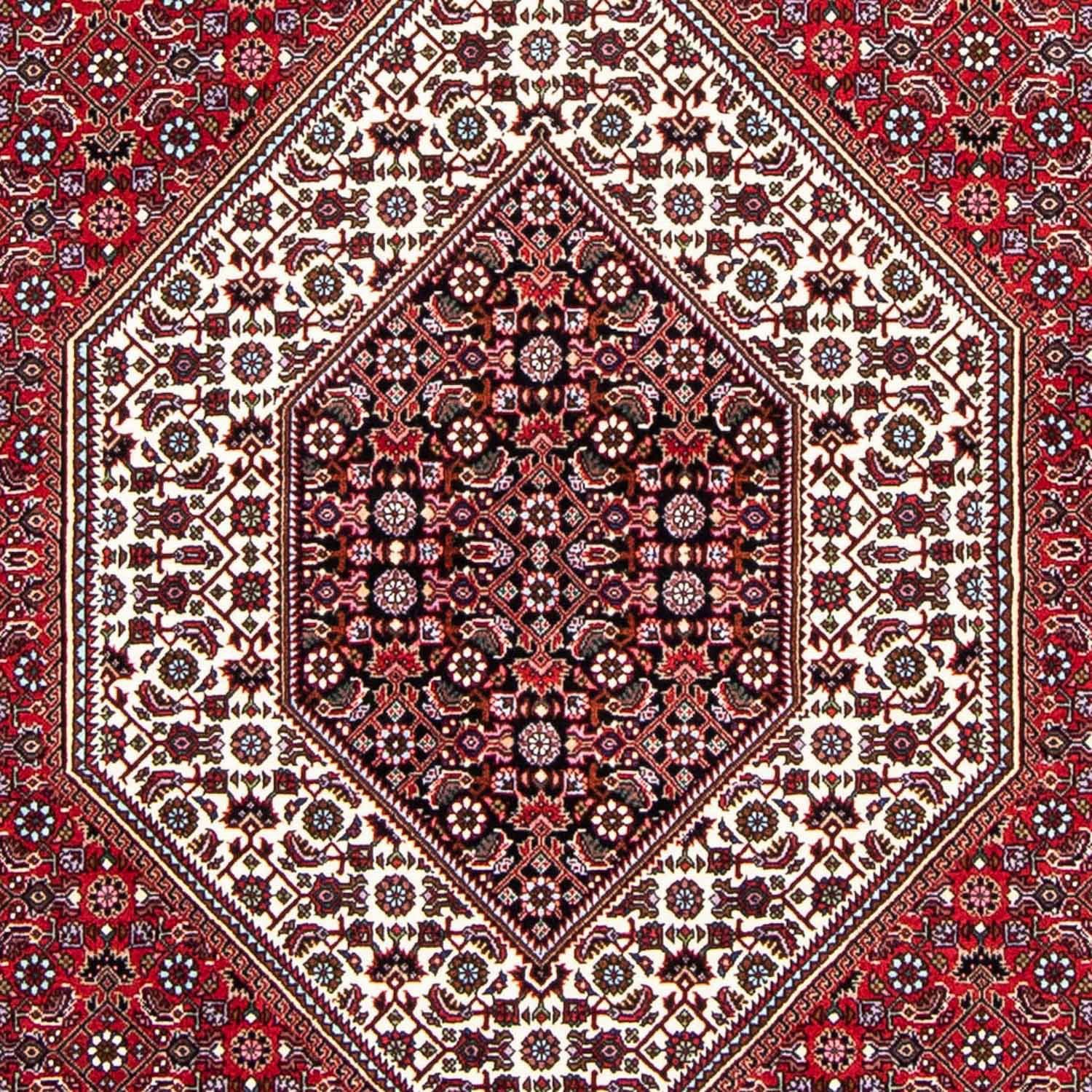 Orientteppich Perser 15 Handgeknüpft, 149 mm, cm Höhe: - Einzelstück mit Wohnzimmer, rechteckig, Zertifikat morgenland, Bidjar - - 250 x rot