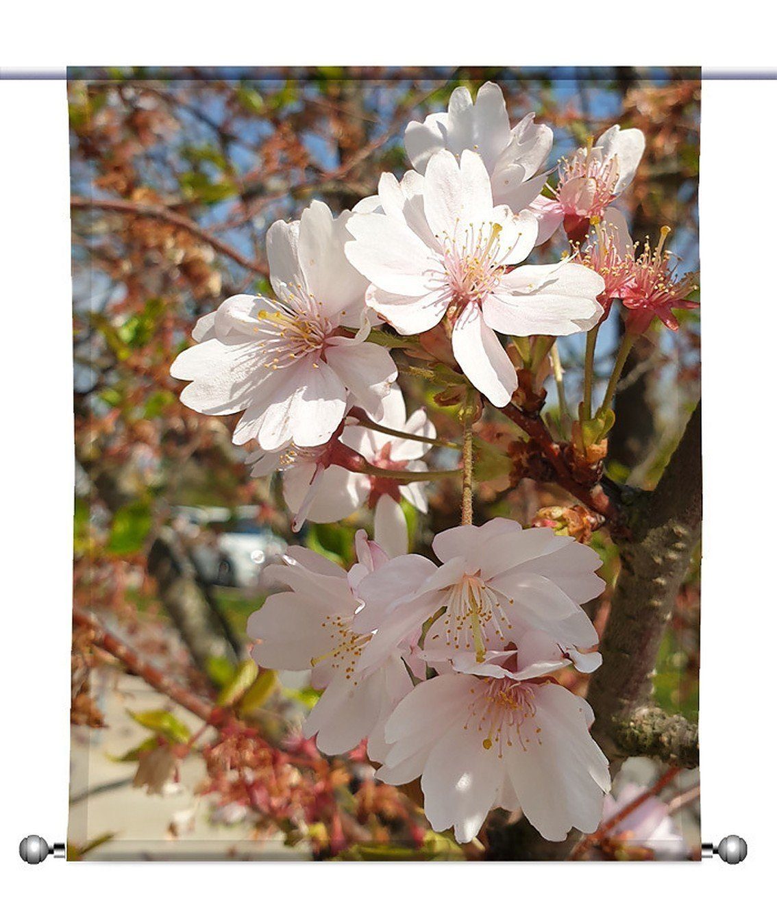 Blütenpracht transparent, Scheibengardine Scheibenhänger rechteckig - Beschwerung gardinen-for-life mit -