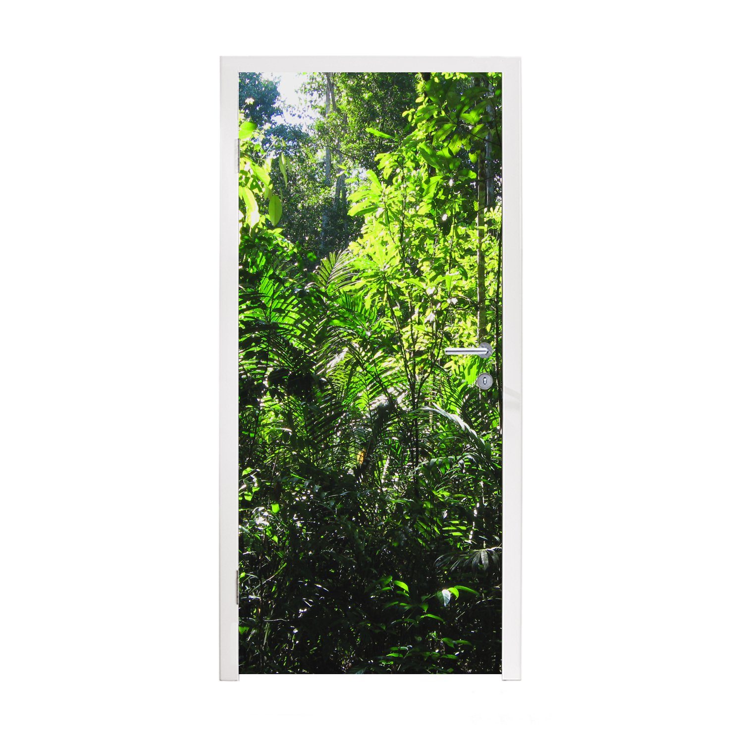 MuchoWow Türtapete Regenwald Brasilien Fotodruck, Matt, bedruckt, (1 St), Fototapete für Tür, Türaufkleber, 75x205 cm