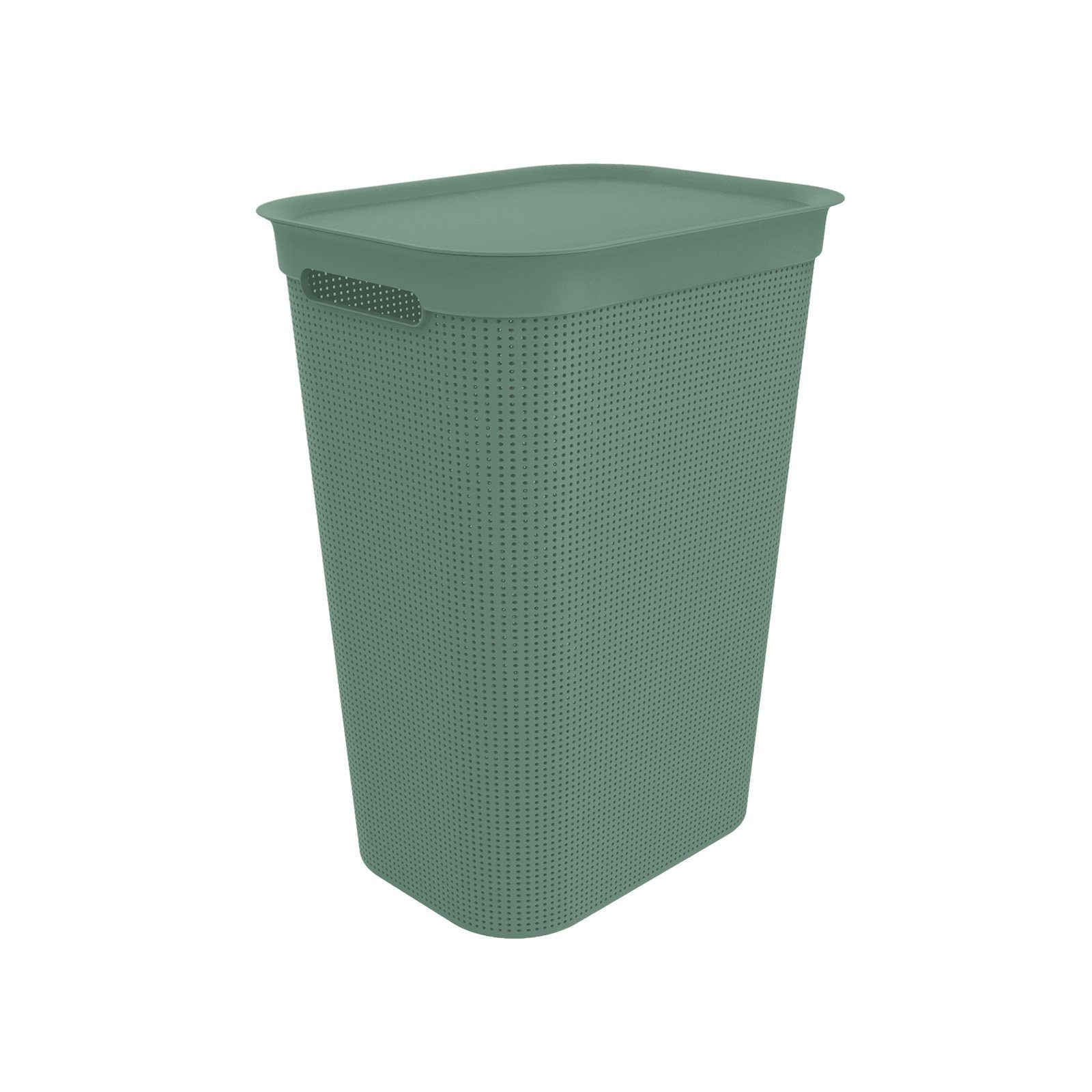 ROTHO Wäschekorb Brisen Wäschesammler 50l mit Deckel und 2 Griffen, Kunststoff (PP) BPA-frei, Löcher an den Seiten ermöglicht Luftzirkulation innerhalb der Wäschebox Mistletoe grün