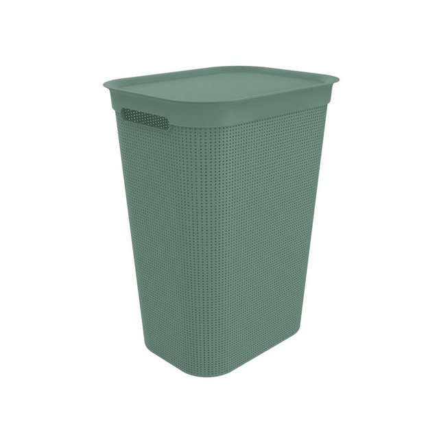 ROTHO Wäschekorb Brisen Wäschesammler 50l mit Deckel und 2 Griffen, Kunststoff (PP) BPA-frei, Löcher an den Seiten ermöglicht Luftzirkulation innerhalb der Wäschebox