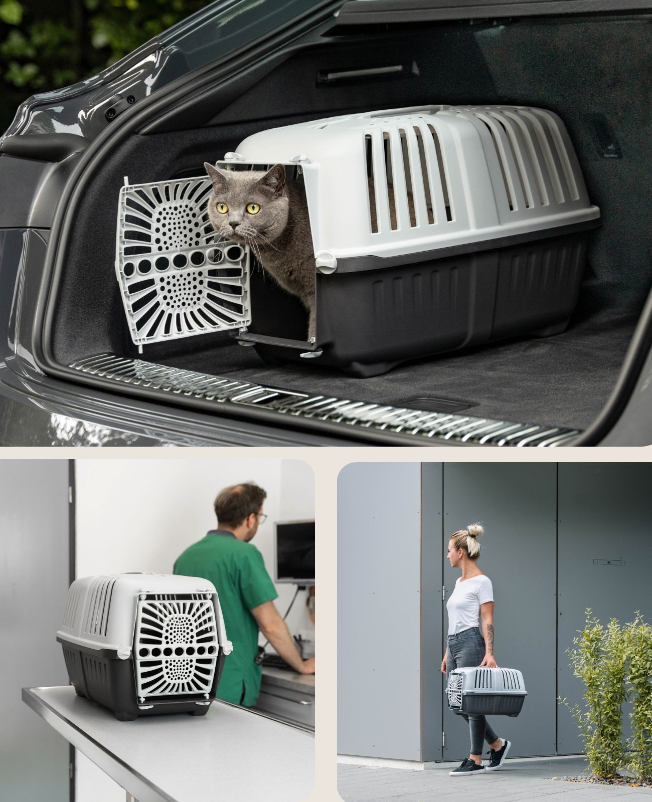 lionto Tiertransportbox für Katzen bis 15 kg, mit Tragegriff & sicherem Schließsystem