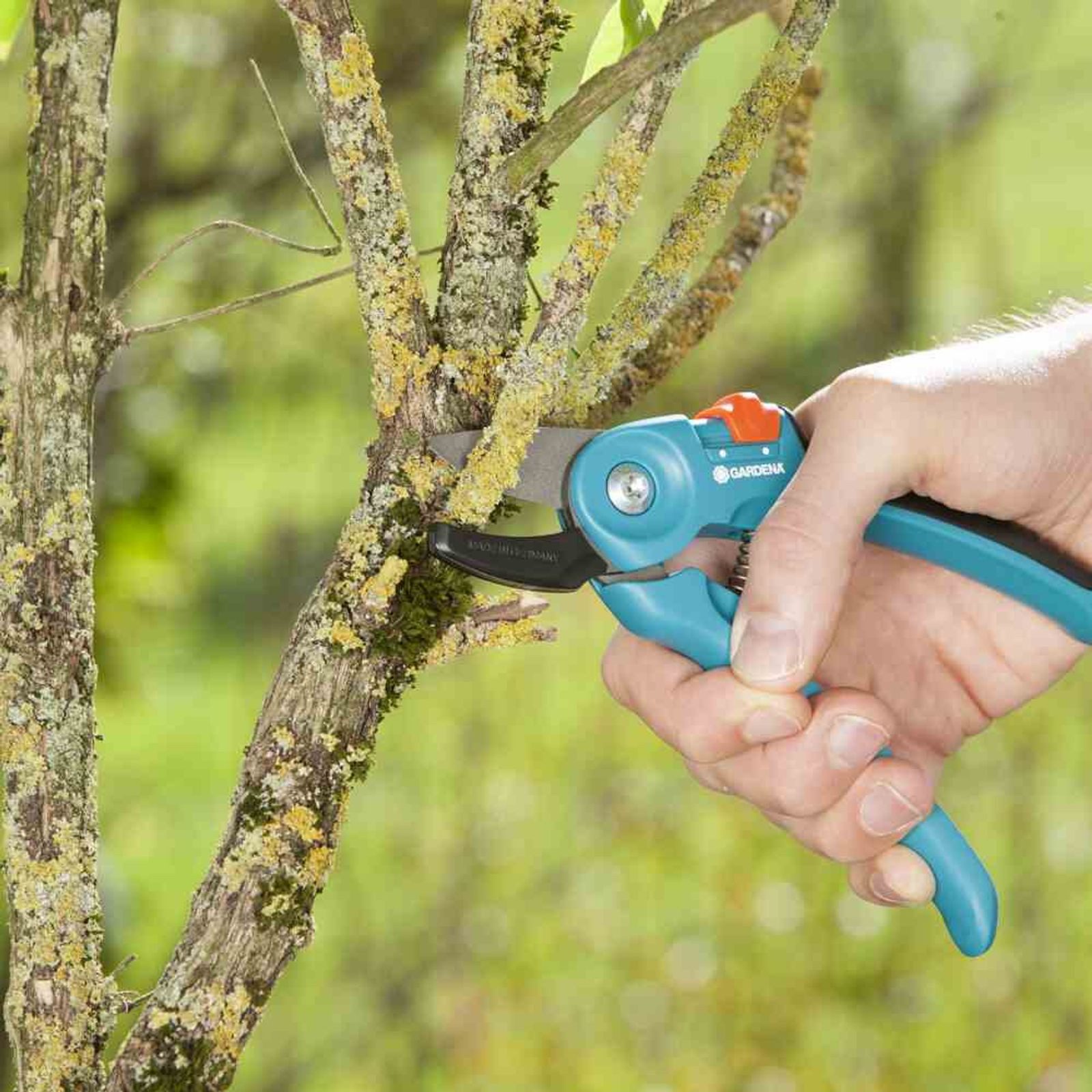 GARDENA Grasschere Gartenschere A/S Classic Amboss-Gartenschere