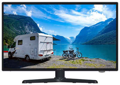 Reflexion LDDW190+ LED-Fernseher (47,00 cm/19 Zoll, HD-ready, DC IN 12 Volt / 24 Volt, Netzteil 230 Volt, Fernseher für Wohnwagen, Wohnmobil, Camping, Caravan)