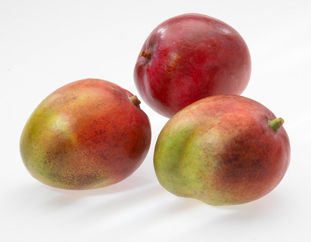 GEFU Obstschneider Edelstahl Mangoteiler PARTI Obstschneider Mango Te