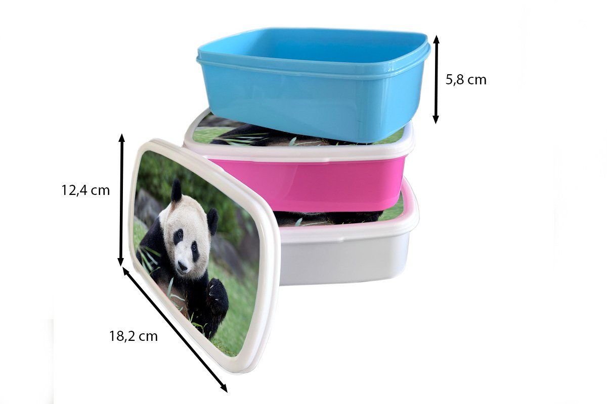 MuchoWow Erwachsene, Lunchbox Brotbox Snackbox, Panda rosa Brotdose Gras für (2-tlg), Großer Kinder, - Mädchen, Steine, - Kunststoff, Kunststoff