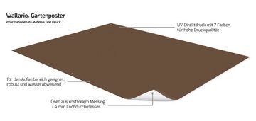 Wallario Sichtschutzzaunmatten Braun