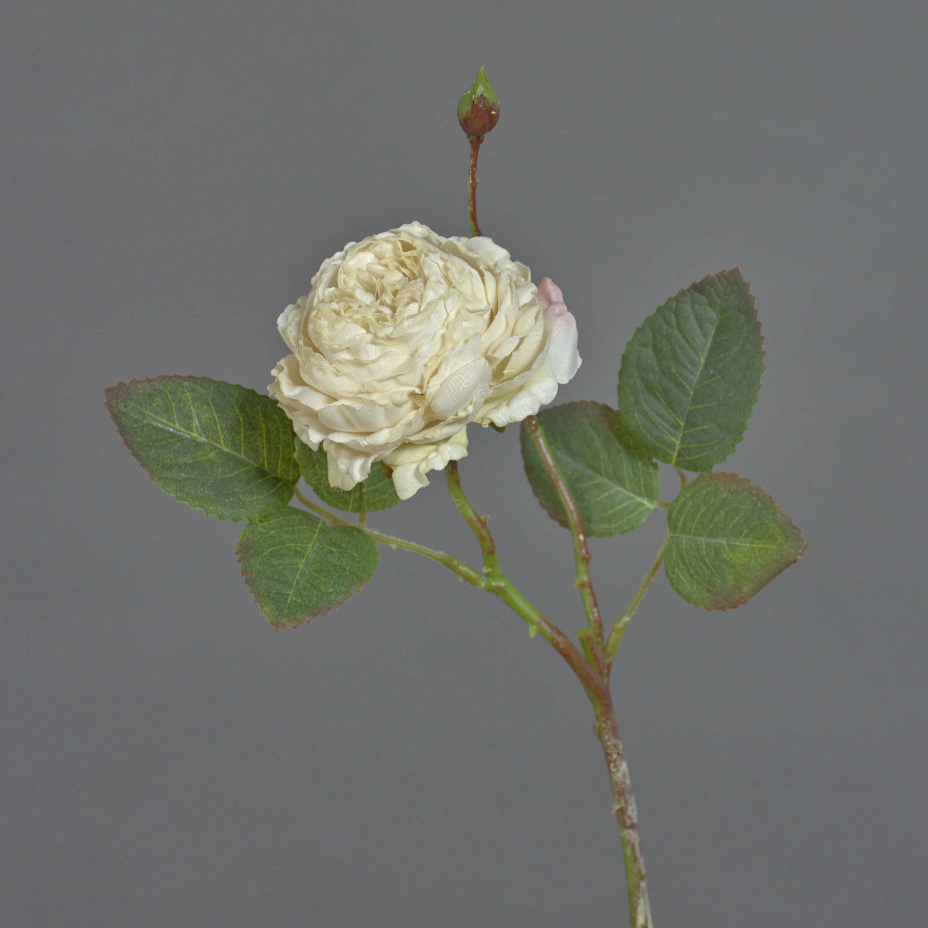 Kunstblume Künstliche Kohl-Rose VOMTE, Trockenoptik, beige, 45cm - Kunstblume Koh Rose (Kohl-Rose), artplants, Höhe 45.0 cm