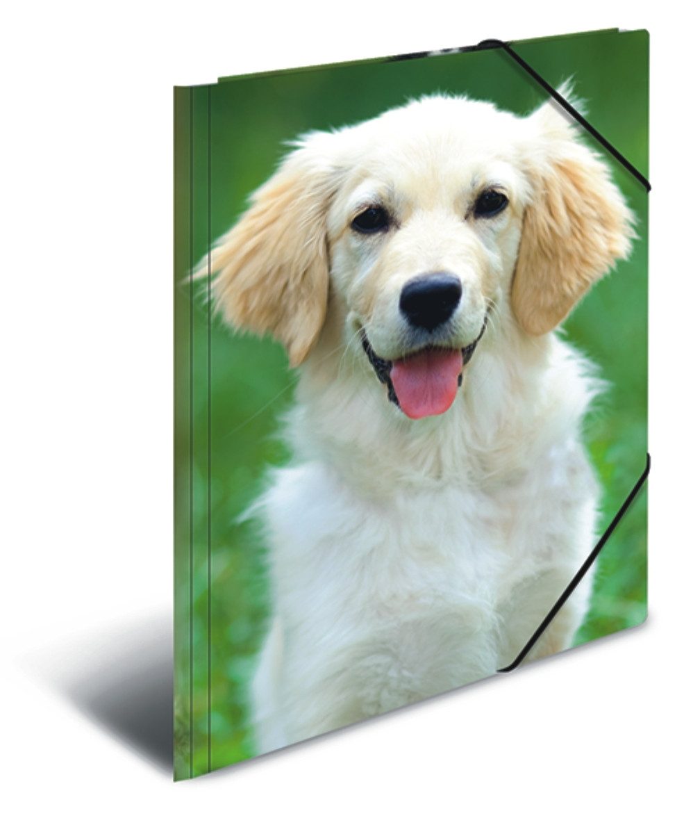 HERMA Fächermappe Gummizugmappe A3 PP (Polypropylen) Hunde