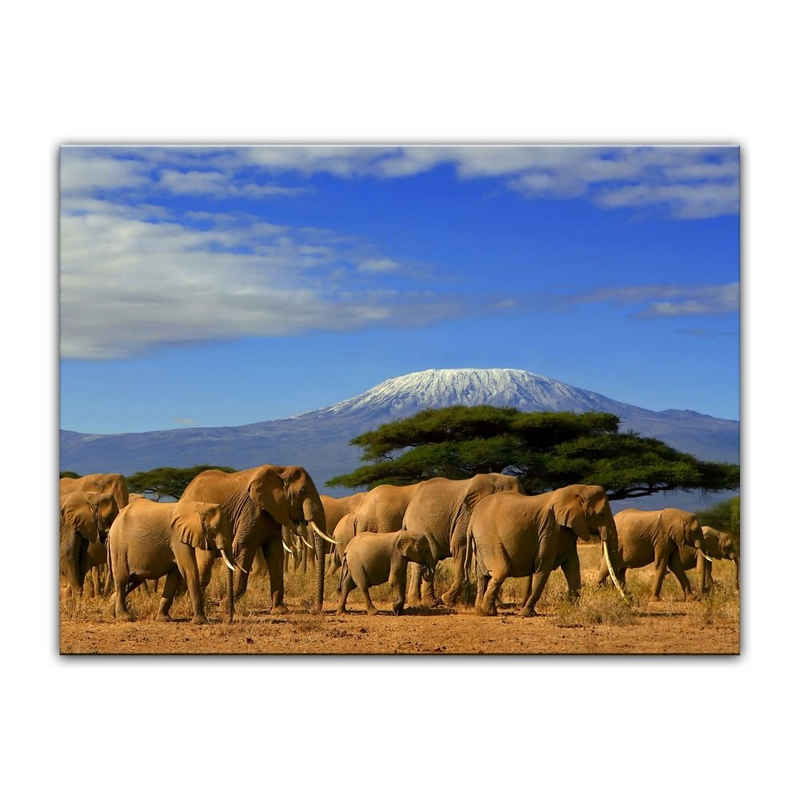 Bilderdepot24 Leinwandbild Elefanten am Kilimandscharo, Tiere