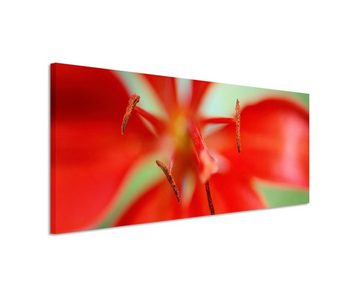Sinus Art Leinwandbild Naturfotografie  Rote Blüte auf Leinwand exklusives Wandbild moderne Fotografie für ihre Wand in vi