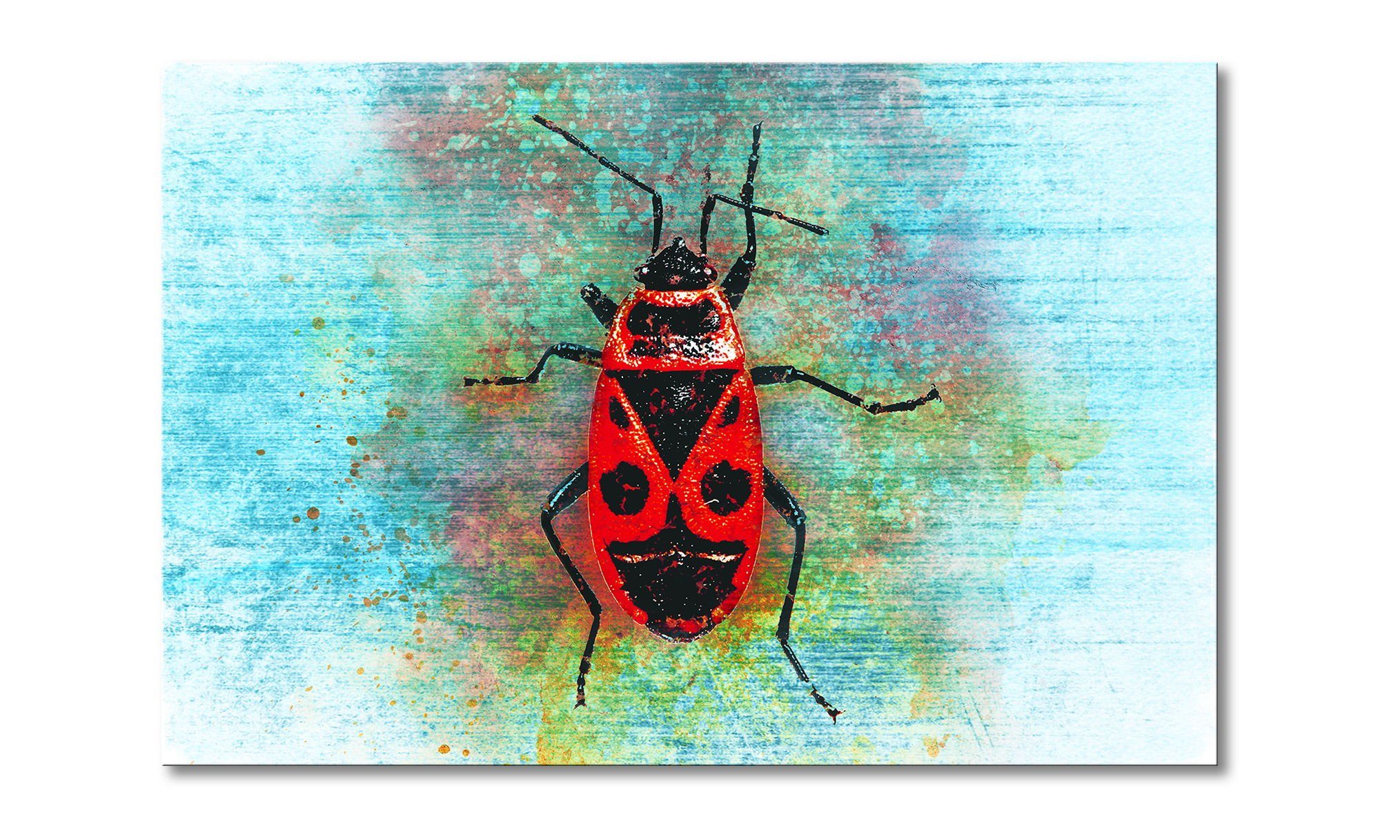 Leinwandbild Firebug