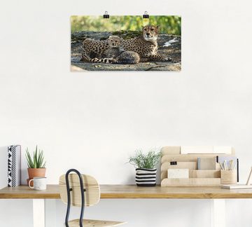 Artland Wandbild Gepard 2, Wildtiere (1 St), als Leinwandbild, Poster, Wandaufkleber in verschied. Größen