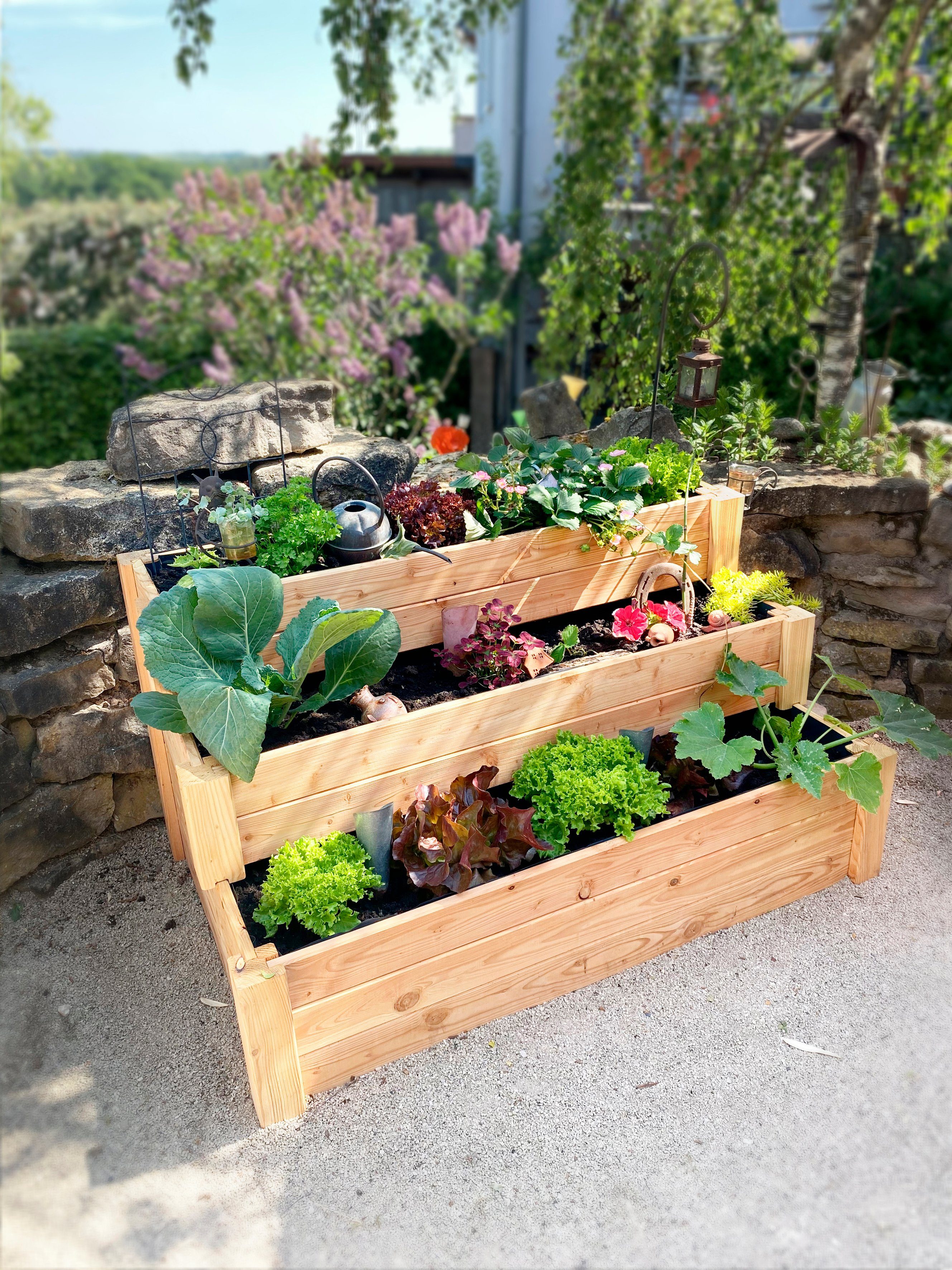 WESTMANN Hochbeet Treppenhochbeet, BxTxH: 120x76x64 cm